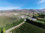 aerial;Aerial-drone;Aerial-drones;aerial-image;aerial-images;aerial-photo;aerial-photograph;aerial-photographs;aerial-photography;aerial-photos;aerial-view;aerial-views;aerials;agricultural;agriculture;Bannockburn;Central-Otago;Central-Otago-Vineyards;country;countryside;Cromwell;crop;crops;cultivation;Drone;Drones;emotely-operated-aircraft;farm;farming;farmland;farms;field;fields;grape;grapes;grapevine;horticulture;N.Z.;New-Zealand;NZ;Otago;poplar;poplar-tree;poplar-trees;poplars;Quadcopter;Quadcopters;remote-piloted-aircraft-systems;remotely-piloted-aircraft;remotely-piloted-aircrafts;ROA;row;rows;RPA;RPAS;rural;S.I.;SI;South-Is;South-Island;Sth-Is;U.A.V.;UA;UAS;UAV;UAVs;Unmanned-aerial-vehicle;unmanned-aircraft;unpiloted-aerial-vehicle;unpiloted-aerial-vehicles;unpiloted-air-system;vine;vines;vineyard;vineyards;vintage;wine;wineries;winery;wines