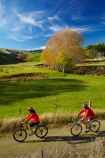 agricultural;agriculture;autuminal;autumn;autumn-colour;autumn-colours;autumnal;bicycle;bicycles;bike;bike-track;bike-tracks;bike-trail;bike-trails;bikes;Central-Otago;Clutha-Gold-Bike-Trail;Clutha-Gold-Cycle-Trail;Clutha-Gold-Track;Clutha-Gold-Trail;color;colors;colour;colours;country;countryside;cycle;cycle-track;cycle-tracks;cycle-trail;cycle-trails;cycler;cyclers;cycles;cycleway;cycleways;cyclist;cyclists;deciduous;Evans-Flat;excercise;excercising;fall;farm;farming;farmland;farms;field;fields;gold;golden;Lawrence;leaf;leaves;meadow;meadows;model-released;mountain-bike;mountain-biker;mountain-bikers;mountain-bikes;MR;mtn-bike;mtn-biker;mtn-bikers;mtn-bikes;N.Z.;New-Zealand;NZ;Otago;paddock;paddocks;pasture;pastures;people;person;push-bike;push-bikes;push_bike;push_bikes;pushbike;pushbikes;rural;S.I.;season;seasonal;seasons;SI;South-Is;South-Island;Sth-Is;tree;trees;willow-tree;willow-trees;yellow