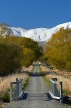 agricultural;agriculture;autuminal;autumn;autumn-colour;autumn-colours;autumnal;bike-track;bike-tracks;bike-trail;bike-trails;bridge;bridges;Central-Otago;Central-Otago-Cycle-Trail;Central-Otago-Rail-Trail;color;colors;colour;colours;country;countryside;cycle-track;cycle-tracks;cycle-trail;cycle-trails;cycleway;cycleways;deciduous;fall;farm;farming;farmland;farms;field;fields;gold;golden;Hawkdun-Range;Hawkdun-Ranges;Ida-Range;Ida-Ranges;Ida-Valley;leaf;leaves;Maniototo;meadow;meadows;Mount-Ida;Mt-Ida;N.Z.;New-Zealand;NZ;Otago;Otago-Central-Cycle-Trail;Otago-Central-Rail-Trail;Otago-Rail-Trail;Oturehua;paddock;paddocks;pasture;pastures;rail-trail;rail-trails;rural;S.I.;season;seasonal;seasons;SI;sign;signs;South-Is;South-Island;Sth-Is;tree;trees;yellow