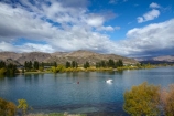 autuminal;autumn;autumn-colour;autumn-colours;autumnal;boat;boats;Cairnmuir-Range;color;colors;colour;colours;Cromwell;deciduous;fall;gold;golden;Lake-Dunstan;leaf;leaves;N.Z.;New-Zealand;NZ;Otago;S.I.;season;seasonal;seasons;SI;South-Is;South-Island;Sth-Is;tree;trees;yellow