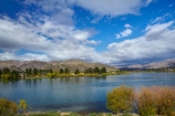 autuminal;autumn;autumn-colour;autumn-colours;autumnal;Cairnmuir-Range;color;colors;colour;colours;Cromwell;deciduous;fall;gold;golden;Lake-Dunstan;leaf;leaves;N.Z.;New-Zealand;NZ;Otago;S.I.;season;seasonal;seasons;SI;South-Is;South-Island;Sth-Is;tree;trees;yellow