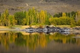 Alexandra;autuminal;autumn;autumn-colour;autumn-colours;autumnal;Butchers-Dam;Butchers-Dam;calm;Central-Otago;color;colors;colour;colours;dam;dams;deciduous;fall;gold;golden;lake;lakes;leaf;leaves;N.Z.;New-Zealand;NZ;Otago;placid;quiet;reflected;reflection;reflections;S.I.;season;seasonal;seasons;serene;SI;smooth;South-Is;South-Island;Sth-Is;still;tranquil;tree;trees;water;yellow