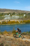 bicycle;bicycles;bike;bikes;Central-Otago;Cromwell;Cromwell-to-Bannockburn-Lakeside-Track;cycle;cycler;cyclers;cycles;cyclist;cyclists;families;family;lake;Lake-Dunstan;lakes;M.R.;model-release;model-released;mountain-bike;mountain-biker;mountain-bikers;mountain-bikes;MR;mtn-bike;mtn-biker;mtn-bikers;mtn-bikes;N.Z.;New-Zealand;NZ;Otago;people;person;push-bike;push-bikes;push_bike;push_bikes;pushbike;pushbikes;recreation;S.I.;SI;South-Is;South-Island;Sth-Is;Sth-Is.