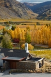 agricultural;agriculture;autuminal;autumn;autumn-colour;autumn-colours;autumnal;Bannockburn;bar;bars;cafe;cafes;Central-Otago;central-otago-vineyard;central-otago-vineyards;central-otago-wineries;central-otago-winery;color;colors;colour;colours;country;countryside;crop;crops;cuisine;cultivation;deciduous;dine;dining;fall;farm;farming;farmland;farms;field;fields;food;gold;golden;grape;grapes;grapevine;horticulture;leaf;leaves;Mt-Difficulty;Mt-Difficulty-Cafe;Mt-Difficulty-Restaurant;Mt-Difficulty-Tasting-Room;Mt-Difficulty-Vineyard;Mt-Difficulty-Winery;Mt-Difficulty-Wines;Mt-Difficulty-Wines-Tasting-Room;N.Z.;new-zealand;NZ;Otago;poplar;poplar-tree;poplar-trees;poplars;restaurant;restaurants;row;rows;rural;S.I.;season;seasonal;seasons;SI;South-Island;Sth-Is;Sth-Is.;The-Winery-Restaurant;tree;trees;vine;vines;vineyard;vineyards;vintage;wine;wineage;wineries;winery;wines;yellow