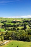 agricultural;agriculture;Cavalcade;country;countryside;crop;crops;farm;farming;farmland;farms;field;fields;horse;horse-Riders;horses;horticulture;Lawrence;meadow;meadows;New-Zealand;Otago;paddock;paddocks;pasture;pastures;rural;South-Island