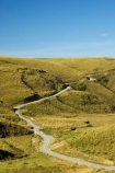 countryside;dusty;gravel-road;gravel-roads;Lake-Mahinerangi;lawrence;metal-road;metal-roads;metalled-road;metalled-roads;New-Zealand;Otago;Road;roads;rural;South-Island;tussock;Tussocks