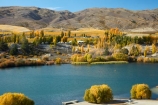 agricultural;agriculture;autuminal;autumn;autumn-colour;autumn-colours;autumnal;Bannockburn;Bannockburn-Inlet;cairnmuir-campground;cairnmuir-mountains;cairnmuir-range;campground;campgrounds;camping-ground;camping-grounds;Central-Otago;central-otago-vineyard;central-otago-vineyards;central-otago-wineries;central-otago-winery;color;colors;colour;colours;country;countryside;cromwell;crop;crops;cultivation;deciduous;fall;farm;farming;farmland;farms;field;fields;gold;golden;grape;grapes;grapevine;horticulture;kawarau-arm;lake;Lake-Dunstan;lakes;leaf;leaves;N.Z.;New-Zealand;NZ;Otago;poplar;poplar-tree;poplar-trees;poplars;row;rows;rural;S.I.;season;seasonal;seasons;SI;south-island;Sth-Is;Sth-Is.;tree;trees;vine;vines;vineyard;vineyards;water;wineries;winery;yellow