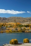 agricultural;agriculture;autuminal;autumn;autumn-colour;Autumn-Colours;autumnal;Bannockburn;Bannockburn-Inlet;cairnmuir-campground;cairnmuir-mountains;cairnmuir-range;campground;campgrounds;camping-ground;camping-grounds;Central-Otago;central-otago-vineyard;central-otago-vineyards;central-otago-wineries;central-otago-winery;color;colors;colour;colours;country;countryside;cromwell;crop;crops;cultivation;deciduous;fall;farm;farming;farmland;farms;field;fields;gold;golden;grape;grapes;grapevine;horticulture;kawarau-arm;lake;Lake-Dunstan;lakes;leaf;leaves;N.Z.;New-Zealand;NZ;Otago;poplar;poplar-tree;poplar-trees;poplars;row;rows;rural;S.I.;season;seasonal;seasons;SI;south-island;Sth-Is;Sth-Is.;tree;trees;vine;vines;vineyard;vineyards;water;wineries;winery;yellow