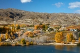 agricultural;agriculture;autuminal;autumn;autumn-colour;autumn-colours;autumnal;Bannockburn;Bannockburn-Inlet;cairnmuir-mountains;cairnmuir-range;Central-Otago;central-otago-vineyard;central-otago-vineyards;central-otago-wineries;central-otago-winery;color;colors;colour;colours;country;countryside;cromwell;crop;crops;cultivation;deciduous;fall;farm;farming;farmland;farms;field;fields;gold;golden;grape;grapes;grapevine;horticulture;kawarau-arm;lake;Lake-Dunstan;lakes;leaf;leaves;N.Z.;New-Zealand;NZ;Otago;poplar;poplar-tree;poplar-trees;poplars;row;rows;rural;S.I.;season;seasonal;seasons;SI;south-island;Sth-Is;Sth-Is.;tree;trees;vine;vines;vineyard;vineyards;water;wineries;winery;yellow