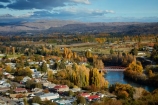 autuminal;autumn;autumn-colour;autumn-colours;autumnal;Central-Otago;Clutha-River;Clyde;color;colors;colour;colours;deciduous;fall;gold;golden;historic;leaf;leaves;N.Z.;New-Zealand;NZ;Otago;river;rivers;S.I.;season;seasonal;seasons;SI;South-Island;Sth-Is;Sth-Is.;township;tree;trees;yellow