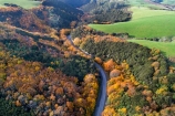 aerial;Aerial-drone;Aerial-drones;aerial-image;aerial-images;aerial-photo;aerial-photograph;aerial-photographs;aerial-photography;aerial-photos;aerial-view;aerial-views;aerials;autuminal;autumn;autumn-colour;autumn-colours;autumnal;bend;bends;Central-Otago;color;colors;colour;colours;corner;corners;curve;curves;deciduous;driving;Drone;Drones;fall;gold;golden;highway;highways;leaf;leaves;Manuka-Gorge;N.Z.;New-Zealand;NZ;open-road;open-roads;Otago;Quadcopter-aerial;Quadcopters-aerials;road;road-trip;roads;s-bend;s-bends;S.H.8;S.I.;season;seasonal;seasons;SH8;SI;South-Is;South-Island;State-Highway-8;State-Highway-Eight;Sth-Is;sycamore-tree;sycamore-trees;transport;transportation;tree;trees;trip;U.A.V.-aerial;UAV-aerials;yellow