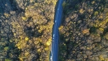 aerial;Aerial-drone;Aerial-drones;aerial-image;aerial-images;aerial-photo;aerial-photograph;aerial-photographs;aerial-photography;aerial-photos;aerial-view;aerial-views;aerials;autuminal;autumn;autumn-colour;autumn-colours;autumnal;bend;bends;car;cars;Central-Otago;color;colors;colour;colours;corner;corners;curve;curves;deciduous;driving;Drone;Drones;fall;forest;forests;gold;golden;highway;highways;leaf;leaves;Manuka-Gorge;N.Z.;New-Zealand;NZ;open-road;open-roads;Otago;Quadcopter-aerial;Quadcopters-aerials;road;road-trip;roads;s-bend;s-bends;S.H.8;S.I.;season;seasonal;seasons;SH8;SI;South-Is;South-Island;State-Highway-8;State-Highway-Eight;Sth-Is;sycamore-tree;sycamore-trees;traffic;transport;transportation;tree;trees;trip;U.A.V.-aerial;UAV-aerials;yellow