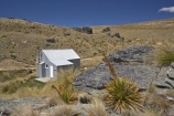Aciphylla-aurea;alpine;back-country-hut;backcountry;backcountry-hut;backcountry-huts;Central-Otago;clump;corrugated-iron;corrugated-steel;DOC-hut;DOC-huts;flower-spikes;flowers;golden;Golden-Speargrass;high-altitude;high-country-hut;highcountry;highcountry-hut;highcountry-huts;highlands;hikers-hut;hikers-huts;huits;hut;mountain-hut;mountain-huts;mountains;N.Z.;New-Zealand;NZ;Old-Woman-Hut;Old-Woman-Range;Otago;outdoors;range;ranges;rock;rocks;S.I.;schist;shelter;SI;South-Island;spike;spikes;trampers-hut;trampers-huts;tussock;tussock-grass;tussocks;yellow