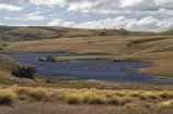 back-country;backcountry;Central-Otago;Dunstan-Track;Dunstan-Trail;goldfields;Goldrush;Great-Moss-Swamp;high-altitude;high-country;highcountry;highlands;historic;historic-road;historic-route;historical;lake;lakes;N.Z.;New-Zealand;NZ;Old-Dunstan-Trail;Otago;remote;remoteness;S.I.;SI;South-Island;tussock;tussock-grass;tussocks;uplands