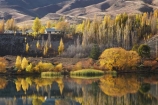 autuminal;autumn;autumn-colour;autumn-colours;autumnal;Bannockburn;Bannockburn-Inlet;calm;Central-Otago;color;colors;colour;colours;deciduous;fall;golden;lake;Lake-Dunstan;lakes;leaf;leaves;N.Z.;New-Zealand;NZ;Otago;placid;quiet;reed;reeds;reflection;reflections;S.I.;season;seasonal;seasons;serene;SI;smooth;South-Island;still;tranquil;tree;trees;water;willow;willow-tree;willow-trees;willows;yellow