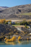 autuminal;autumn;autumn-colour;autumn-colours;autumnal;Bannockburn;Bannockburn-Inlet;Cairnmuir-Mountains;Cairnmuir-Vineyard;Carrick-Winery;Central-Otago;central-otago-vineyard;central-otago-vineyards;central-otago-wineries;central-otago-winery;color;colors;colour;colours;country;countryside;deciduous;fall;fields;Lake-Dunstan;leaf;leaves;N.Z.;new-zealand;NZ;rural;S.I.;season;seasonal;seasons;SI;south-island;tree;trees;vineyard;vineyards;vintage;wineage;wineries;winery;wines