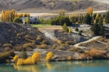 autuminal;autumn;autumn-colour;autumn-colours;autumnal;Bannockburn;Bannockburn-Inlet;Cairnmuir-Mountains;Cairnmuir-Vineyard;Carrick-Winery;Central-Otago;central-otago-vineyard;central-otago-vineyards;central-otago-wineries;central-otago-winery;color;colors;colour;colours;country;countryside;deciduous;fall;fields;Lake-Dunstan;leaf;leaves;N.Z.;new-zealand;NZ;rural;S.I.;season;seasonal;seasons;SI;south-island;tree;trees;vineyard;vineyards;vintage;wineage;wineries;winery;wines