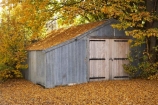 autuminal;autumn;autumn-colour;autumn-colours;autumnal;Central-Otago;color;colors;colour;colours;corrugated-iron;corrugated-steel;deciduous;door;doors;fall;garage;garages;golden;leaf;leaves;Maniototo;N.Z.;New-Zealand;NZ;Ophir;Otago;S.I.;season;seasonal;seasons;SI;South-Island;tree;trees;yellow
