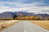 autuminal;autumn;autumn-colour;autumn-colours;autumnal;Central-Otago;centre-line;centre-lines;centre_line;centre_lines;centreline;centrelines;color;colors;colour;colours;deciduous;driving;fall;Hawkdun-Range;highway;highways;Ida-Range;Ida-Valley;leaf;leaves;Maniototo;N.Z.;New-Zealand;NZ;open-road;open-roads;Otago;road;road-trip;roads;S.I.;season;seasonal;seasons;SI;South-Island;transport;transportation;travel;traveling;travelling;tree;trees;trip