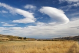 agricultural;agriculture;Central-Otago;country;countryside;farm;farming;farmland;farms;field;fields;Ida-Valley;lenticular-cloud;lenticular-clouds;Maniototo;meadow;meadows;N.Z.;New-Zealand;NZ;Otago;paddock;paddocks;pasture;pastures;rural;S.I.;SI;South-Island