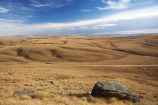 back-country;backcountry;Central-Otago;country;countryside;farm;farming;farmland;farms;field;fields;high-country;highcountry;highland;highlands;Lammermoor-Range;Lammermoor-Ranges;Maniototo;N.Z.;New-Zealand;NZ;Old-Dunstan-Road;Old-Dunstan-Track;Old-Dunstan-Trail;Otago;rural;S.I.;SI;South-Island;tussock;tussocks