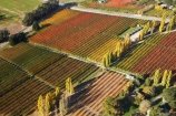 aerial;aerial-photo;aerial-photograph;aerial-photographs;aerial-photography;aerial-photos;aerial-view;aerial-views;aerials;Central-Otago;color;colors;colour;country;countryside;Cromwell;crop;crops;farm;farming;farmland;farms;field;fruit;fruit-tree;fruit-trees;horticulture;Jackson-Orchard;Jacksons-Orchard;Jacksons-Orchard;N.Z.;New-Zealand;NZ;orange;orchard;orchards;Otago;poplar;poplar-tree;poplar-trees;poplars;row;rows;rural;S.I.;SI;South-Is.;South-Island;tree;trees