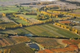 aerial;aerial-photo;aerial-photograph;aerial-photographs;aerial-photography;aerial-photos;aerial-view;aerial-views;aerials;agricultural;agriculture;Alexandra;autuminal;autumn;autumn-colour;autumn-colours;autumnal;Central-Otago;color;colors;colour;colours;country;countryside;crop;crops;deciduous;Earnscleugh;fall;farm;farming;farmland;farms;field;fields;fruit;fruit-tree;fruit-trees;horticulture;irrigation-pond;irrigation-ponds;meadow;meadows;N.Z.;New-Zealand;NZ;orchard;orchards;Otago;paddock;paddocks;pasture;pastures;pond;ponds;poplar;poplar-tree;poplar-trees;poplars;row;rows;rural;S.I.;season;seasonal;seasons;SI;South-Is.;South-Island;tree;trees