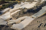 aerial;aerial-photo;aerial-photograph;aerial-photographs;aerial-photography;aerial-photos;aerial-view;aerial-views;aerials;agricultural;agriculture;Alexandra;Black-Ridge-Vineyard;Central-Otago;central-otago-vineyard;central-otago-vineyards;central-otago-wineries;central-otago-winery;country;countryside;crop;crops;cultivation;Earnscleugh;grape;grapes;grapevine;horticulture;l;N.Z.;New-Zealand;NZ;Otago;row;rows;rural;S.I.;season;seasonal;seasons;SI;South-Is.;South-Island;vine;vines;vineyard;vineyards;vintage;wineage;wineries;winery;wines