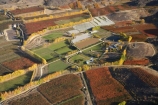 aerial;aerial-photo;aerial-photograph;aerial-photographs;aerial-photography;aerial-photos;aerial-view;aerial-views;aerials;agricultural;agriculture;Alexandra;autuminal;autumn;autumn-colour;autumn-colours;autumnal;Central-Otago;color;colors;colour;colours;country;countryside;crop;crops;deciduous;Earnscleugh;fall;farm;farming;farmland;farms;field;fields;fruit;fruit-tree;fruit-trees;horticulture;meadow;meadows;N.Z.;New-Zealand;NZ;orange;orchard;orchards;Otago;paddock;paddocks;pasture;pastures;poplar;poplar-tree;Poplar-Trees;poplars;row;rows;rural;S.I.;season;seasonal;seasons;SI;South-Is.;South-Island;tree;trees