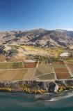 aerial;aerial-photo;aerial-photograph;aerial-photographs;aerial-photography;aerial-photos;aerial-view;aerial-views;aerials;agricultural;agriculture;autuminal;autumn;autumn-colour;autumn-colours;autumnal;Bannockburn;Carrick-Range;Central-Otago;central-otago-vineyard;central-otago-vineyards;central-otago-wineries;central-otago-winery;color;colors;colour;colours;country;countryside;crop;crops;cultivation;deciduous;fall;farm;farming;farmland;farms;Felton-Road-Vineyard;Felton-Road-Vineyards;Felton-Road-Winery;Felton-Road-Wines;field;fields;grape;grapes;grapevine;horticulture;hydro-lake;hydro-lakes;Kawarau-Arm;lake;Lake-Dunstan;lakes;Mount-Difficulty-Vineyard;Mount-Difficulty-Vineyards;Mount-Difficulty-Winery;Mount-Difficulty-Wines;Mt-Difficulty-Vineyard;Mt-Difficulty-Vineyards;Mt-Difficulty-Winery;Mt-Difficulty-Wines;Mt.-Difficulty-Vineyard;Mt.-Difficulty-Vineyards;Mt.-Difficulty-Winery;Mt.-Difficulty-Wines;N.Z.;New-Zealand;NZ;Olsens-Garden-Vineyard;Olsens-Vineyard;Olsens-Winery;Olsens-Garden-Vineyard;Olsens-Vineyard;Olsens-Winery;Otago;row;rows;rural;S.I.;season;seasonal;seasons;SI;silt-up;siltation;silting;silting-up;South-Is.;south-island;tree;trees;vine;vines;vineyard;vineyards;vintage;water;wineage;wineries;winery;wines