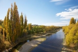 Alexandra;autuminal;autumn;autumn-colour;autumn-colours;autumnal;Central-Otago;color;colors;colour;colours;deciduous;fall;golden;Manuherikia-River;N.Z.;New-Zealand;NZ;Otago;poplar;poplar-tree;poplar-trees;poplars;river;rivers;S.I.;season;seasonal;seasons;SI;South-Is.;South-Island;tree;trees;water;willow;willow-tree;willow-trees;willows;yellow