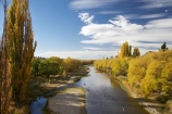 Alexandra;autuminal;autumn;autumn-colour;autumn-colours;autumnal;Central-Otago;color;colors;colour;colours;deciduous;fall;golden;Manuherikia-River;N.Z.;New-Zealand;NZ;Otago;poplar;poplar-tree;poplar-trees;poplars;river;rivers;S.I.;season;seasonal;seasons;SI;South-Is.;South-Island;tree;trees;water;willow;willow-tree;willow-trees;willows;yellow