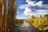 Alexandra;autuminal;autumn;autumn-colour;autumn-colours;autumnal;Central-Otago;color;colors;colour;colours;deciduous;fall;golden;Manuherikia-River;N.Z.;New-Zealand;NZ;Otago;poplar;poplar-tree;poplar-trees;poplars;river;rivers;S.I.;season;seasonal;seasons;SI;South-Is.;South-Island;tree;trees;water;willow;willow-tree;willow-trees;willows;yellow