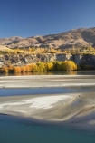 autuminal;autumn;autumn-colour;autumn-colours;autumnal;Bannockburn;Carrick-Range;Central-Otago;color;colors;colour;colours;deciduous;fall;lake;Lake-Dunstan;lakes;N.Z.;near-Cromwell;New-Zealand;NZ;Otago;river;rivers;S.I.;season;seasonal;seasons;SI;silt-up;siltation;silting;silting-up;South-Is.;South-Island;tree;trees;water