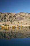 autuminal;autumn;autumn-colour;autumn-colours;autumnal;calm;Central-Otago;color;colors;colour;colours;Cromwell-Gorge;deciduous;Dunstan-Mountains;fall;lake;Lake-Dunstan;lakes;N.Z.;New-Zealand;NZ;Otago;placid;quiet;reflection;reflections;S.I.;season;seasonal;seasons;serene;SI;smooth;South-Is.;South-Island;State-Highway-8;State-Highway-Eight;still;tranquil;tree;trees;water