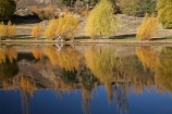 autuminal;autumn;autumn-colour;autumn-colours;autumnal;Bannockburn;Bannockburn-Inlet;bicycle;bicycles;bike;bikes;boy;boys;calm;Central-Otago;child;children;color;colors;colour;colours;cycle;cycler;cyclers;cycles;cyclist;cyclists;deciduous;fall;female;golden;Kawarau-Arm;kid;kids;lake;Lake-Dunstan;lakes;little-boy;little-boys;model-release;model-released;mother;mother-and-son;mothers;mountain-bike;mountain-biker;mountain-bikers;mountain-bikes;mtn-bike;mtn-biker;mtn-bikers;mtn-bikes;N.Z.;New-Zealand;NZ;Otago;outdoor;outdoors;people;person;placid;push-bike;push-bikes;push_bike;push_bikes;pushbike;pushbikes;quiet;recreation;reflection;reflections;S.I.;season;seasonal;seasons;serene;SI;smooth;son;sons;South-Is.;South-Island;still;tranquil;tree;trees;water;willow;willow-tree;willow-trees;willows;woman;yellow
