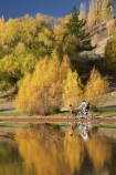autuminal;autumn;autumn-colour;autumn-colours;autumnal;Bannockburn;Bannockburn-Inlet;bicycle;bicycles;bike;bikes;boy;boys;calm;Central-Otago;child;children;color;colors;colour;colours;cycle;cycler;cyclers;cycles;cyclist;cyclists;deciduous;fall;female;golden;Kawarau-Arm;kid;kids;lake;Lake-Dunstan;lakes;little-boy;little-boys;model-release;model-released;mother;mother-and-son;mothers;mountain-bike;mountain-biker;mountain-bikers;mountain-bikes;mtn-bike;mtn-biker;mtn-bikers;mtn-bikes;N.Z.;New-Zealand;NZ;Otago;outdoor;outdoors;people;person;placid;poplar;poplar-tree;poplar-trees;poplars;push-bike;push-bikes;push_bike;push_bikes;pushbike;pushbikes;quiet;recreation;reflection;reflections;S.I.;season;seasonal;seasons;serene;SI;smooth;son;sons;South-Is.;South-Island;still;tranquil;tree;trees;water;willow;willow-tree;willow-trees;willows;woman;yellow