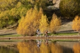 autuminal;autumn;autumn-colour;autumn-colours;autumnal;Bannockburn;Bannockburn-Inlet;bicycle;bicycles;bike;bikes;boy;boys;calm;Central-Otago;child;children;color;colors;colour;colours;cycle;cycler;cyclers;cycles;cyclist;cyclists;deciduous;fall;female;golden;Kawarau-Arm;kid;kids;lake;Lake-Dunstan;lakes;little-boy;little-boys;model-release;model-released;mother;mother-and-son;mothers;mountain-bike;mountain-biker;mountain-bikers;mountain-bikes;mtn-bike;mtn-biker;mtn-bikers;mtn-bikes;N.Z.;New-Zealand;NZ;Otago;outdoor;outdoors;people;person;placid;push-bike;push-bikes;push_bike;push_bikes;pushbike;pushbikes;quiet;recreation;reflection;reflections;S.I.;season;seasonal;seasons;serene;SI;smooth;son;sons;South-Is.;South-Island;still;tranquil;tree;trees;water;willow;willow-tree;willow-trees;willows;woman;yellow