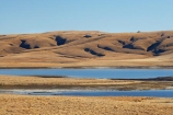 back-country;backcountry;Central-Otago;Central-Otago-peneplain;country;countryside;dam;dams;farm;farming;farmland;farms;Great-Moss-Swamp;high-altitude;high-country;highcountry;highland;highlands;lake;lakes;Lammermoor-Range;Lammermoor-Ranges;Logan-Burn-Dam;Logan-Burn-Reservoir;Loganburn-Dam;Loganburn-Reservoir;Maniototo;N.Z.;New-Zealand;NZ;Old-Dunstan-Road;Old-Dunstan-Track;Old-Dunstan-Trail;Otago;Otago-peneplain;remote;remoteness;rural;S.I.;SI;South-Is.;South-Island;tussock;tussocklands;tussocks;uplands