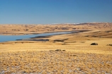 back-country;backcountry;Central-Otago;Central-Otago-peneplain;country;countryside;dam;dams;farm;farming;farmland;farms;Great-Moss-Swamp;high-altitude;high-country;highcountry;highland;highlands;lake;lakes;Lammermoor-Range;Lammermoor-Ranges;Logan-Burn-Dam;Logan-Burn-Reservoir;Loganburn-Dam;Loganburn-Reservoir;Maniototo;N.Z.;New-Zealand;NZ;Old-Dunstan-Road;Old-Dunstan-Track;Old-Dunstan-Trail;Otago;Otago-peneplain;remote;remoteness;rural;S.I.;SI;snow;South-Is.;South-Island;tussock;tussocklands;tussocks;uplands