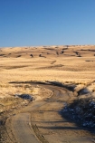back-country;backcountry;Central-Otago;Central-Otago-peneplain;country;countryside;farm;farming;farmland;farms;gravel-road;gravel-roads;high-altitude;high-country;highcountry;highland;highlands;Lammermoor-Range;Lammermoor-Ranges;Maniototo;metal-road;metal-roads;metalled-road;metalled-roads;N.Z.;New-Zealand;NZ;Old-Dunstan-Road;Old-Dunstan-Track;Old-Dunstan-Trail;Otago;Otago-peneplain;remote;remoteness;road;roads;rural;S.I.;SI;snow;South-Is.;South-Island;tussock;tussocklands;tussocks;uiplands;upland;uplands