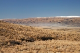 back-country;backcountry;Central-Otago;Central-Otago-peneplain;high-altitude;high-country;highcountry;highlands;Lammermoor-Range;Lammermoor-Ranges;Maniototo;N.Z.;New-Zealand;NZ;Otago-peneplain;remote;remoteness;Road-to-Lake-Onslow;S.I.;SI;South-Is.;South-Island;Taieri-Scroll-Plain;uiplands;upland;uplands