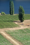 color;colors;colour;colours;crop;crops;cultivation;farm;farming;farms;field;fields;grape;grapes;grapevine;green;horticulture;lake;lakes;poplar;row;rows;rural;tree;trees;vine;vines;vineyard;vineyards;vintage;wine;wineries;winery;wines
