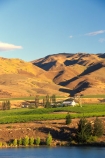 carrick;crop;crops;cultivation;farm;farming;farms;field;fields;grape;grapes;grapevine;horticulture;lakes;row;rows;rural;vine;vines;vineyard;vineyards;vintage;wine;wineries;winery;wines
