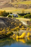 agricultural;agriculture;akarua-vineyard;akarua-winery;autuminal;autumn;autumnal;Bannockburn;Bannockburn-Inlet;cairnmuir-mountains;cairnmuir-range;Cairnmuir-Vineyard;carrick-winery;Central-Otago;color;colors;colour;colours;country;countryside;crop;crops;cultivation;deciduous;fall;farm;farming;farmland;farms;field;fields;grape;grapes;grapevine;horticulture;kawarau-arm;lake;Lake-Dunstan;lakes;leaf;leaves;New-Zealand;reflection;reflections;row;rows;rural;south-island;tree;trees;vine;vines;vineyard;vineyards;vintage;water;wine;wineries;winery;wines
