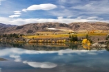 agricultural;agriculture;autuminal;autumn;autumn-colour;autumn-colours;autumnal;Bannockburn;cairnmuir-mountains;cairnmuir-range;Cairnmuir-Vineyard;calm;carrick-winery;Central-Otago;central-otago-vineyard;central-otago-vineyards;central-otago-wineries;central-otago-winery;color;colors;colour;colours;country;countryside;crop;crops;cultivation;deciduous;fall;farm;farming;farmland;farms;field;fields;golden;grape;grapes;grapevine;horticulture;kawarau-arm;lake;Lake-Dunstan;lakes;leaf;leaves;N.Z.;New-Zealand;NZ;Otago;placid;quiet;reflection;reflections;row;rows;rural;S.I.;season;seasonal;seasons;serene;SI;smooth;south-island;still;tranquil;tree;trees;vine;vines;vineyard;vineyards;vintage;water;wine;wineage;wineries;winery;wines;yellow