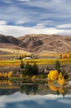 agricultural;agriculture;autuminal;autumn;autumn-colour;autumn-colours;autumnal;Bannockburn;cairnmuir-mountains;cairnmuir-range;Cairnmuir-Vineyard;calm;carrick-winery;Central-Otago;central-otago-vineyard;central-otago-vineyards;central-otago-wineries;central-otago-winery;color;colors;colour;colours;country;countryside;crop;crops;cultivation;deciduous;fall;farm;farming;farmland;farms;field;fields;golden;grape;grapes;grapevine;horticulture;kawarau-arm;lake;Lake-Dunstan;lakes;leaf;leaves;N.Z.;New-Zealand;NZ;Otago;placid;quiet;reflection;reflections;row;rows;rural;S.I.;season;seasonal;seasons;serene;SI;smooth;south-island;still;tranquil;tree;trees;vine;vines;vineyard;vineyards;vintage;water;wine;wineage;wineries;winery;wines;yellow