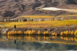 agricultural;agriculture;autuminal;autumn;autumn-colour;autumn-colours;autumnal;Bannockburn;cairnmuir-mountains;cairnmuir-range;Cairnmuir-Vineyard;calm;carrick-winery;Central-Otago;central-otago-vineyard;central-otago-vineyards;central-otago-wineries;central-otago-winery;color;colors;colour;colours;country;countryside;crop;crops;cultivation;deciduous;fall;farm;farming;farmland;farms;field;fields;golden;grape;grapes;grapevine;horticulture;kawarau-arm;lake;Lake-Dunstan;lakes;leaf;leaves;N.Z.;New-Zealand;NZ;Otago;placid;quiet;reflection;reflections;row;rows;rural;S.I.;season;seasonal;seasons;serene;SI;smooth;south-island;still;tranquil;tree;trees;vine;vines;vineyard;vineyards;vintage;water;wine;wineage;wineries;winery;wines;yellow