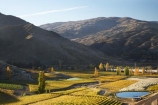 agricultural;agriculture;autuminal;autumn;autumn-colour;autumn-colours;autumnal;Bannockburn;Central-Otago;central-otago-vineyard;central-otago-vineyards;central-otago-wineries;central-otago-winery;color;colors;colour;colours;country;countryside;crop;crops;cultivation;deciduous;fall;farm;farming;farmland;farms;Felton-Road-Vineyard;Felton-Road-Vineyards;Felton-Road-Wines;field;fields;golden;grape;grapes;grapevine;horticulture;irrigation-dam;irrigation-dams;irrigation-pond;irrigation-ponds;N.Z.;near-Cromwell;New-Zealand;NZ;Otago;poplar;poplar-tree;poplar-trees;poplars;row;rows;rural;S.I.;season;seasonal;seasons;SI;South-Is.;South-Island;tree;trees;vine;vines;vineyard;vineyards;vintage;wineage;wineries;winery;wines;yellow