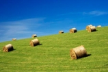 agricultural;agriculture;blue;country;countryside;crop;crops;farm;farming;farmland;farms;field;fields;green;hay;hay-bale;hay-bales;horticulture;Lawrence;meadow;meadows;New-Zealand;Otago;paddock;paddocks;pasture;pastures;rural;South-Island